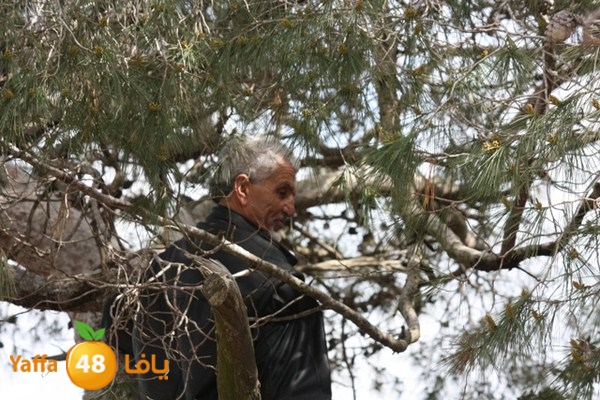 re7la7efa483 (35).JPG